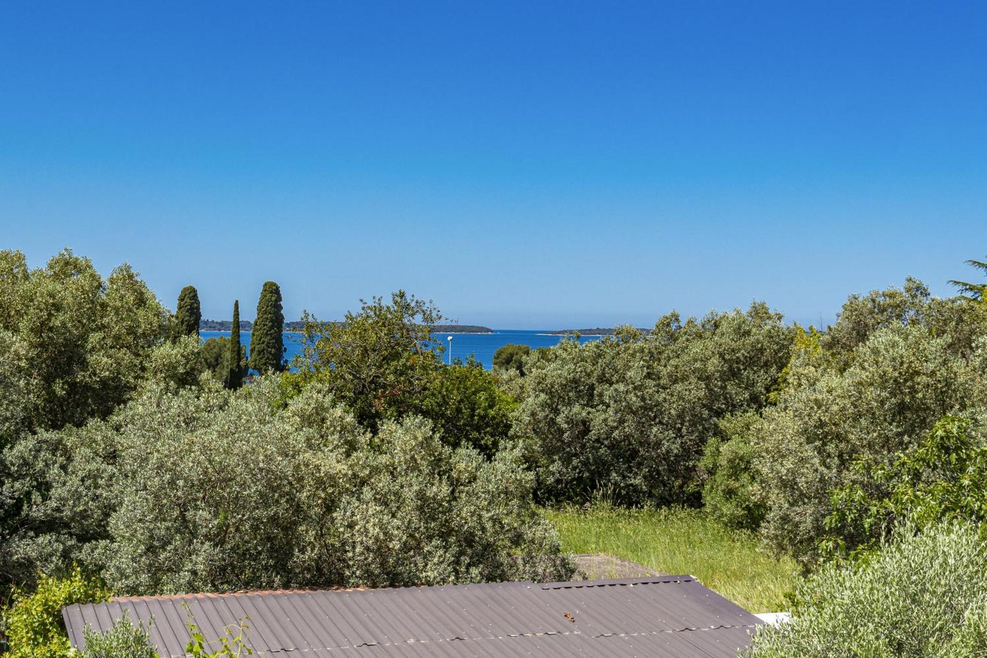 Apartment Nenad - Amazing Sea View ! Only 500 Meters From The Beach ! Fažana Exteriör bild